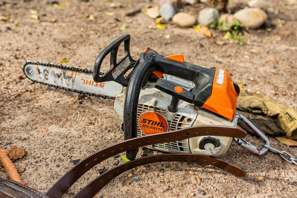 Expert landscape design in San Diego, CA by Trini Tree Services