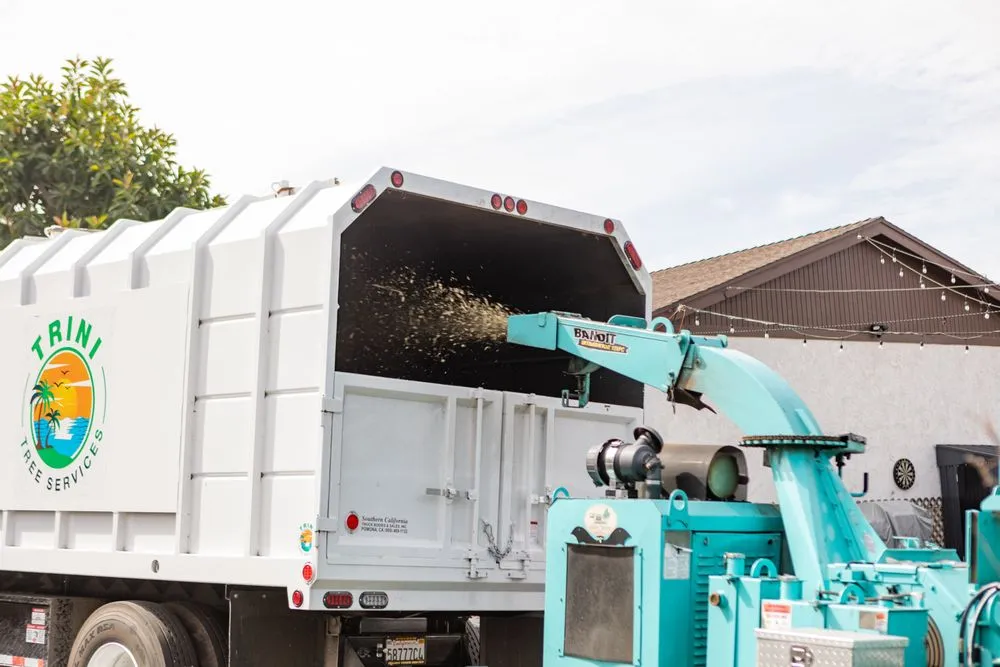 Trusted yard maintenance for homes across San Diego, CA - Trini Tree Services