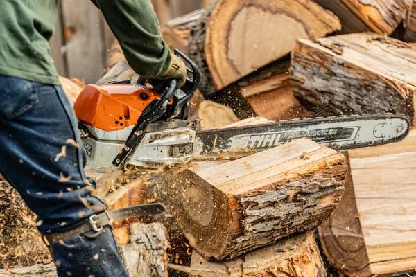 Trini Tree Services Logo