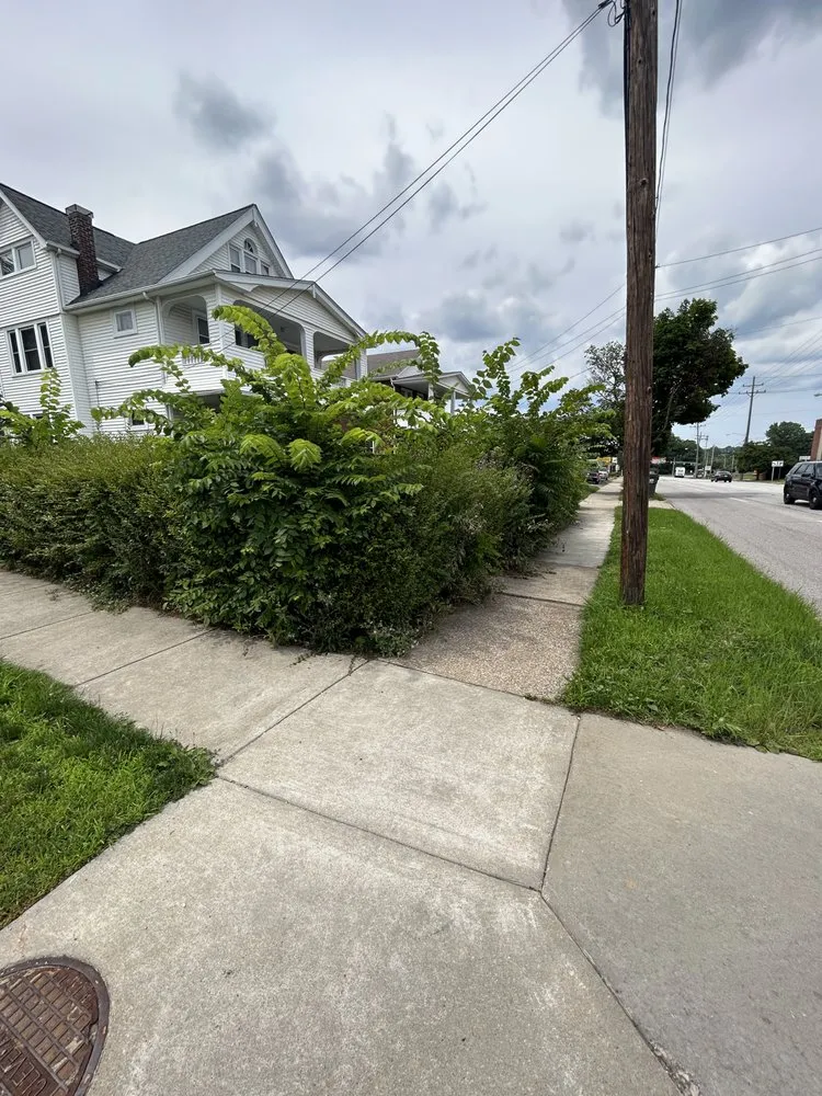 Affordable yard maintenance in Euclid, OH by Trinidadian landscaping and home repairs