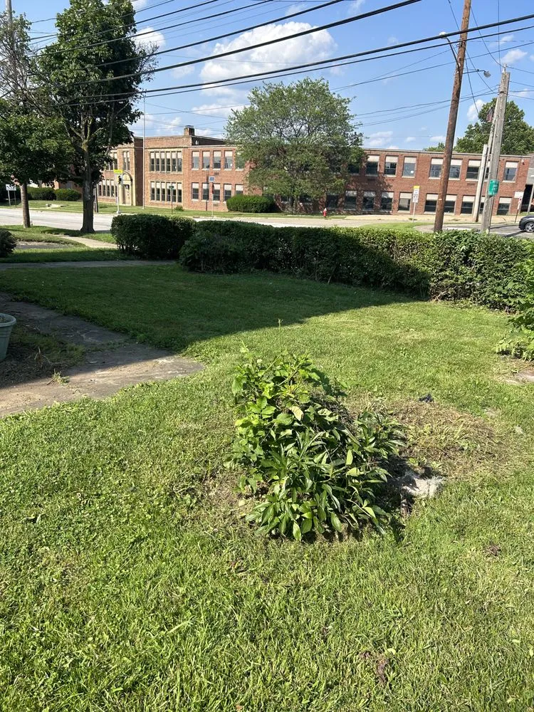 Trusted lawn mowing service for beautiful yards across Euclid, OH - Trinidadian landscaping and home repairs