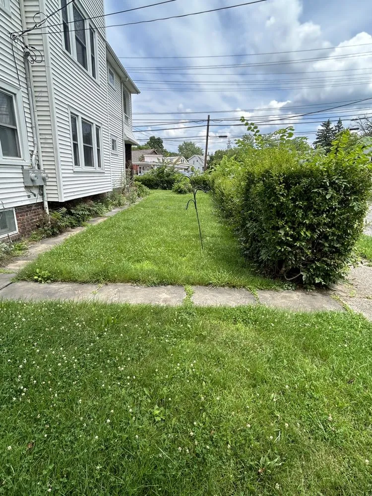 Reliable lawn mowing service in Euclid, OH - Trinidadian landscaping and home repairs