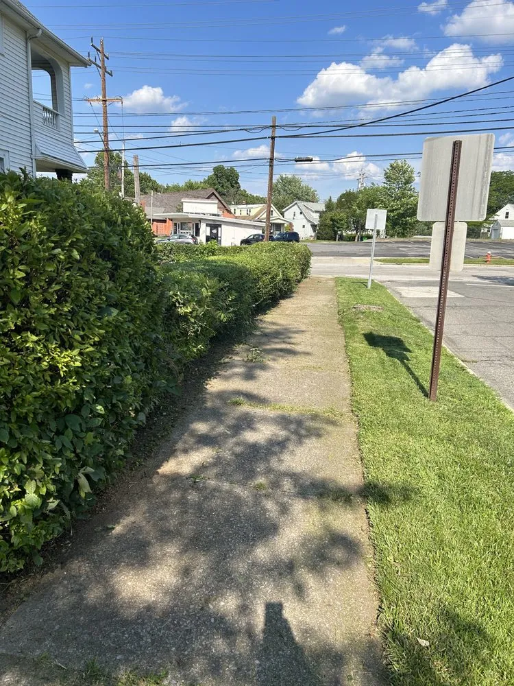 Affordable landscaping services experts serving Euclid, OH - Trinidadian landscaping and home repairs