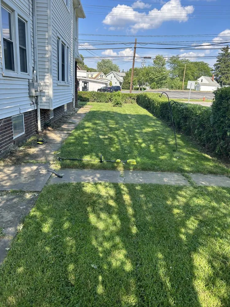 Trusted lawn mowing service experts serving Euclid, OH - Trinidadian landscaping and home repairs