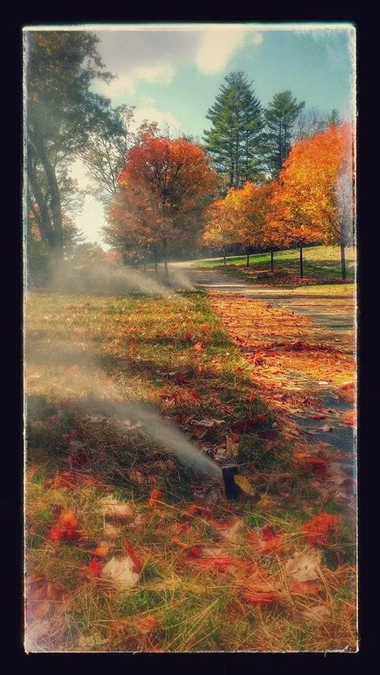 Custom yard cleanup service with custom design across Hudson, MA - Trinity Irrigation