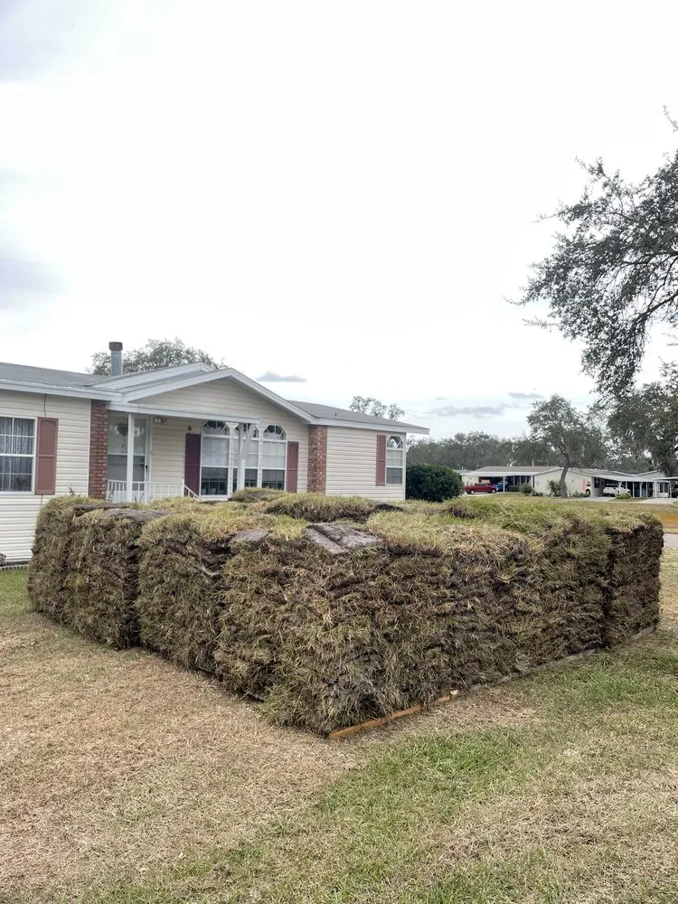 Local outdoor landscaping for beautiful yards across Brooksville, FL - Trinity Land Solutions