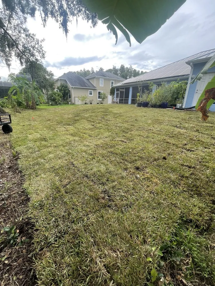 Trusted yard cleanup service for homes across Brooksville, FL - Trinity Land Solutions