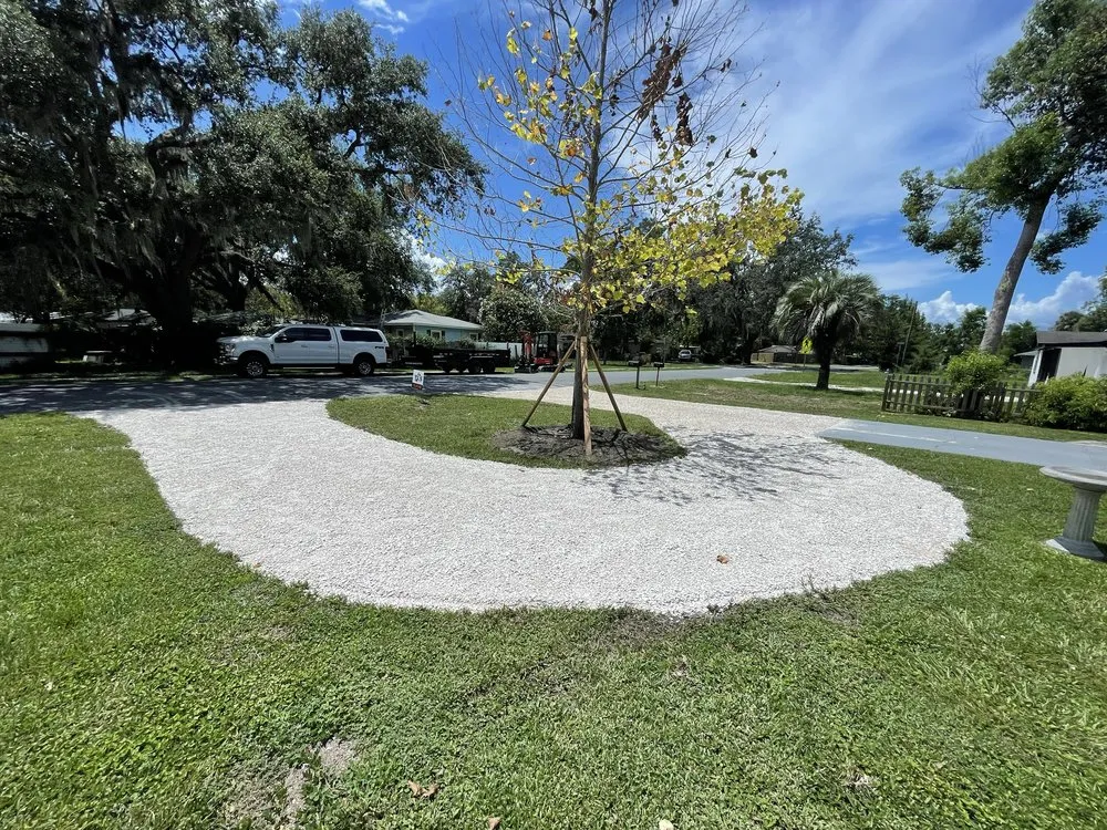 Professional yard cleanup service in Brooksville, FL - Trinity Land Solutions