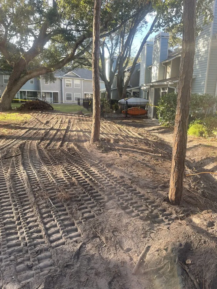 Affordable yard cleanup service in Brooksville, FL - Trinity Land Solutions