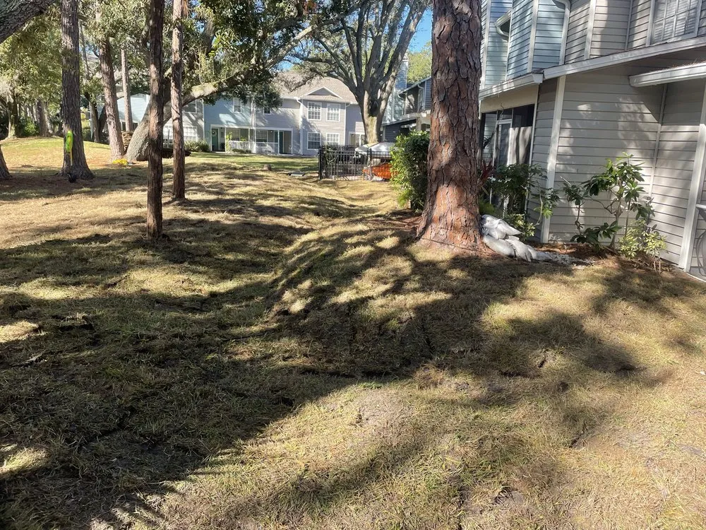 Trusted residential landscaping experts serving Brooksville, FL - Trinity Land Solutions