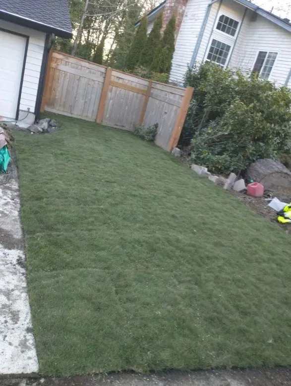 Expert lawn care service for year-round maintenance across Auburn, WA - Trinity Landscape