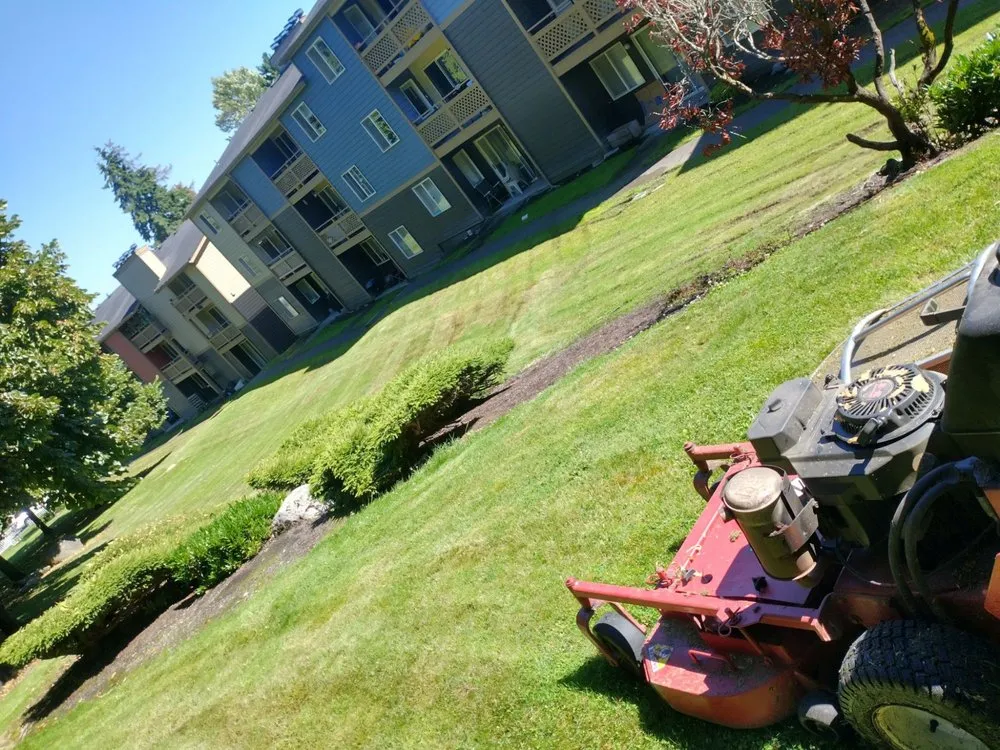 Expert landscaping services for year-round maintenance across Auburn, WA - Trinity Landscape