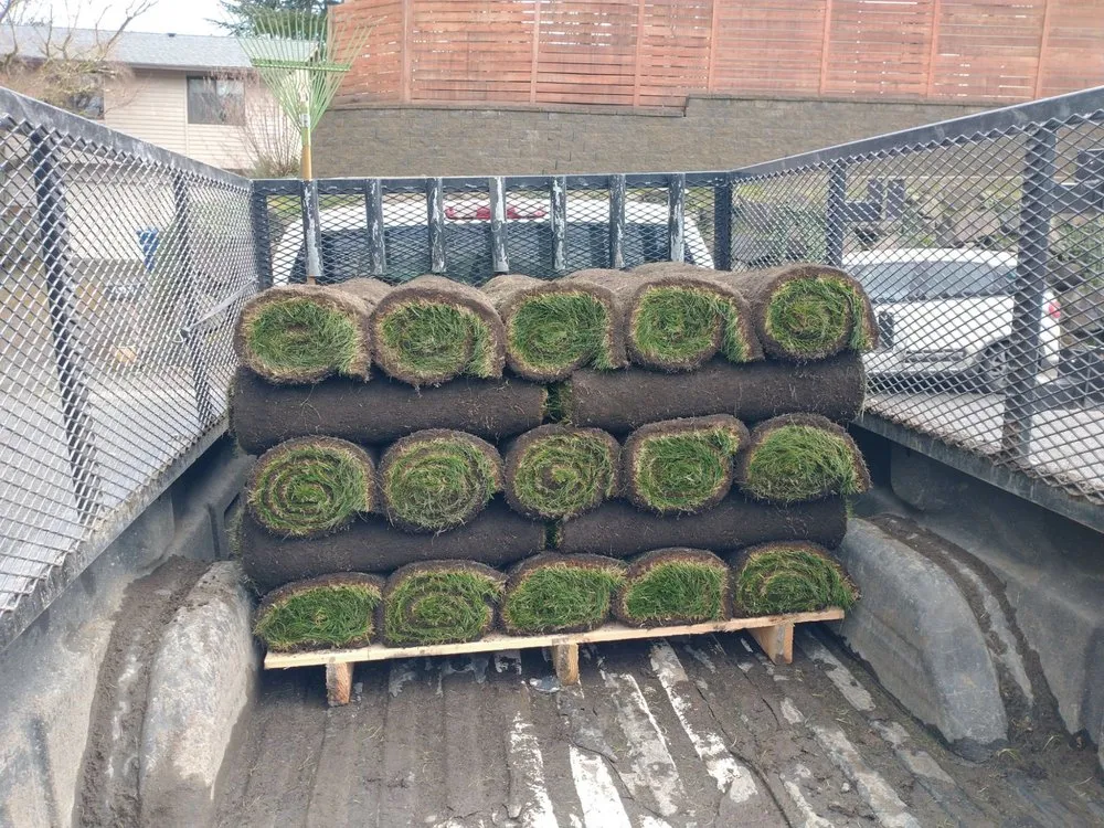 Top-rated landscaping services for beautiful yards in Auburn, WA by Trinity Landscape