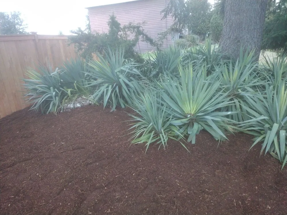 Top-rated lawn care service for year-round maintenance in Auburn, WA by Trinity Landscape