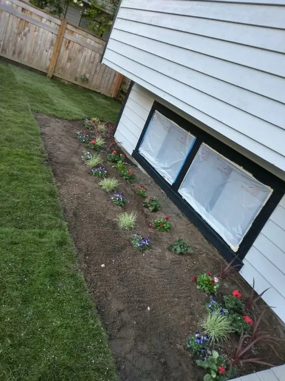 Expert lawn mowing service in Auburn, WA by Trinity Landscape