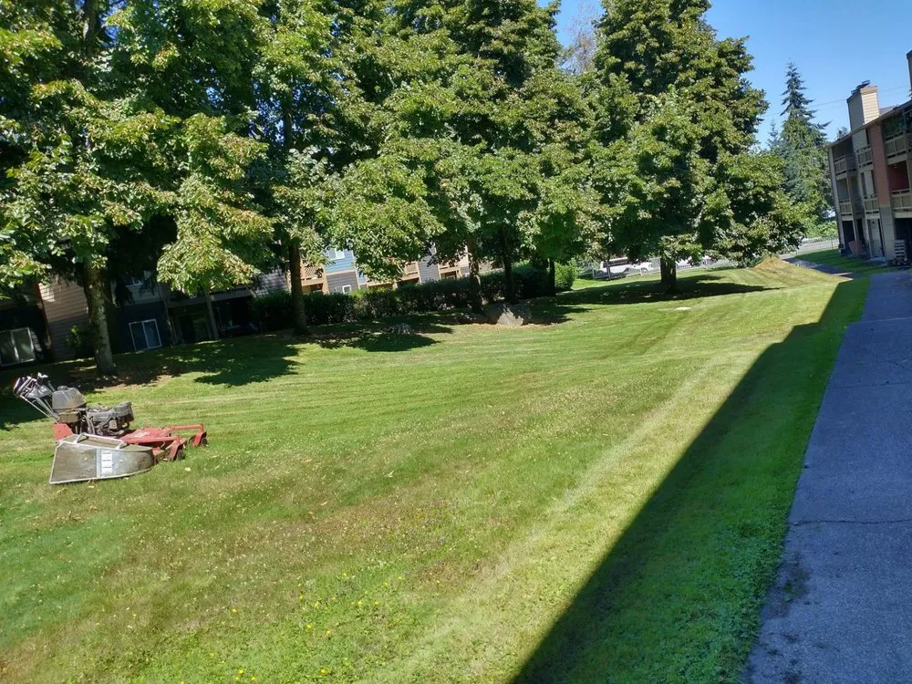 Expert landscape design for beautiful yards across Auburn, WA - Trinity Landscape