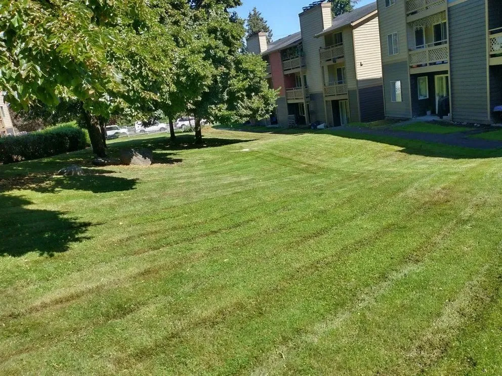 Local residential landscaping experts serving Auburn, WA - Trinity Landscape