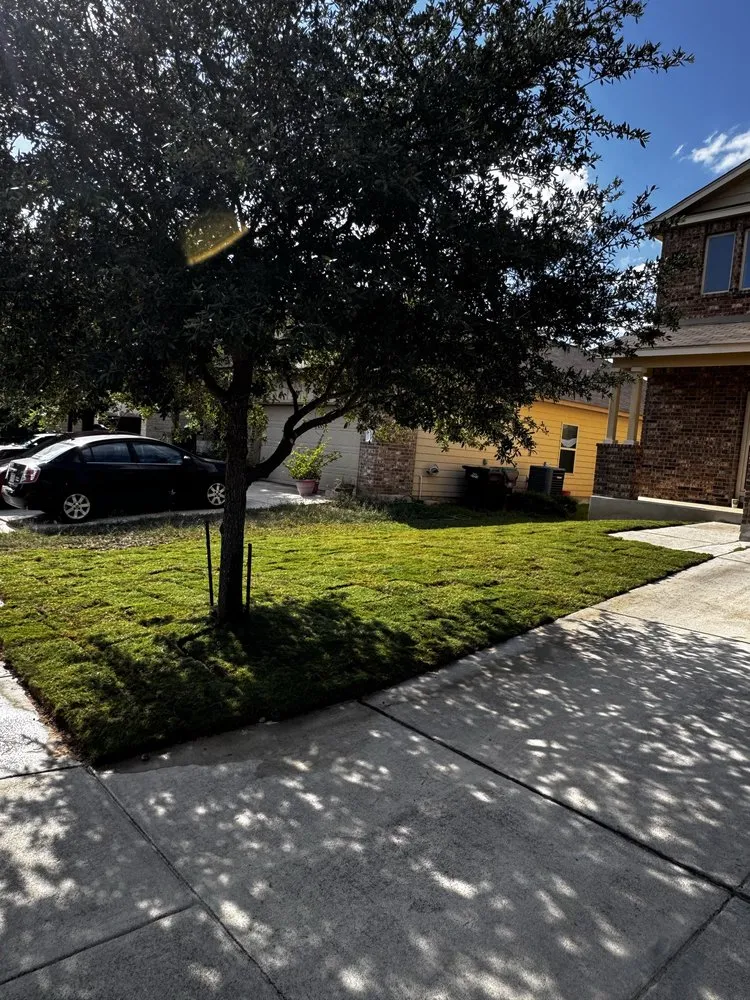 Local landscape design for outdoor upgrades across San Antonio, TX - Trinity Landscapes