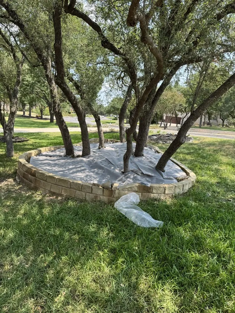 Custom yard maintenance experts serving San Antonio, TX - Trinity Landscapes