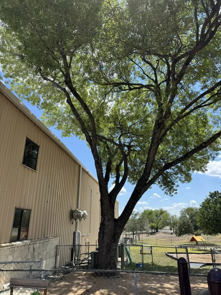 Local residential landscaping for residential properties across San Antonio, TX - Trinity Landscapes