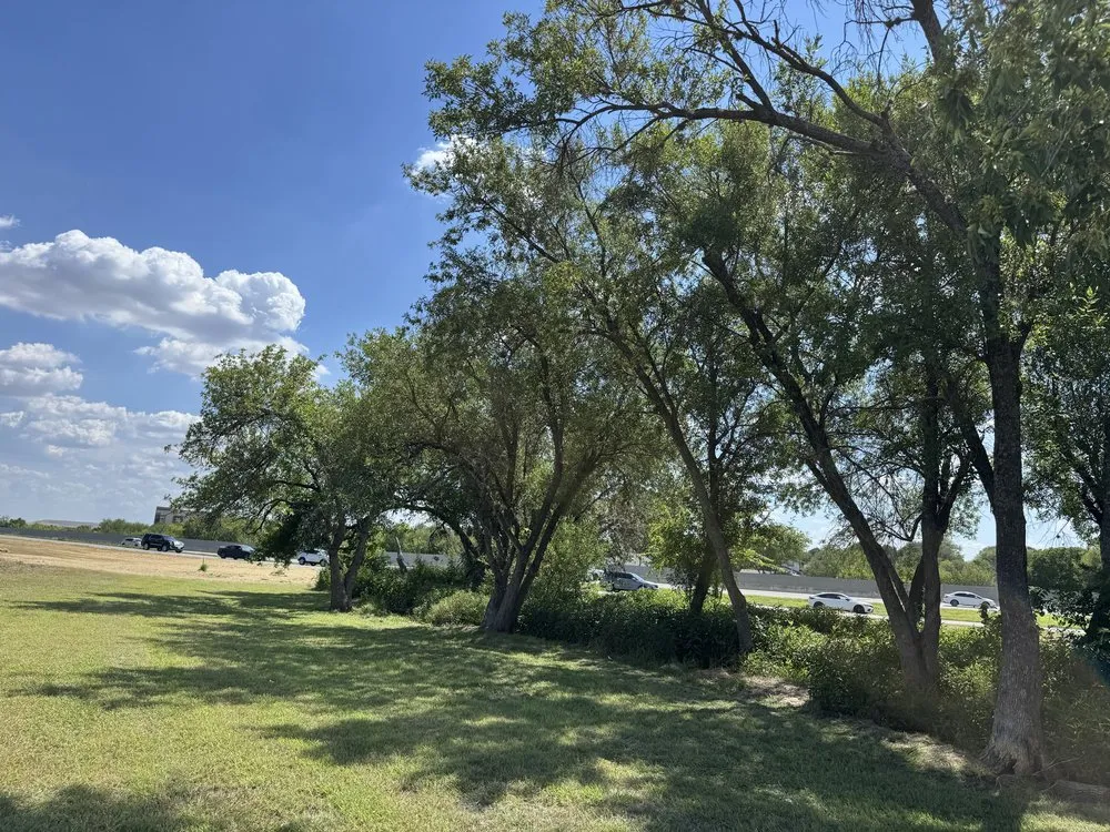 Local residential landscaping in San Antonio, TX - Trinity Landscapes