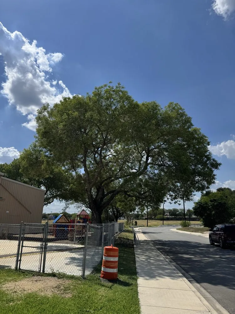 Trusted landscaping services experts serving San Antonio, TX - Trinity Landscapes