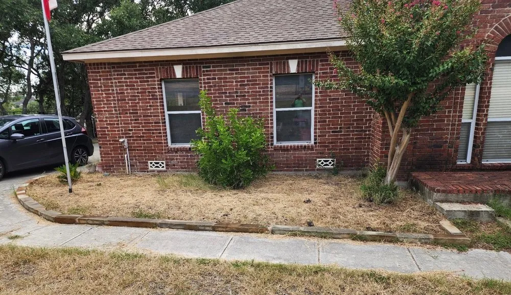 Reliable lawn care service experts serving San Antonio, TX - Trinity Landscapes