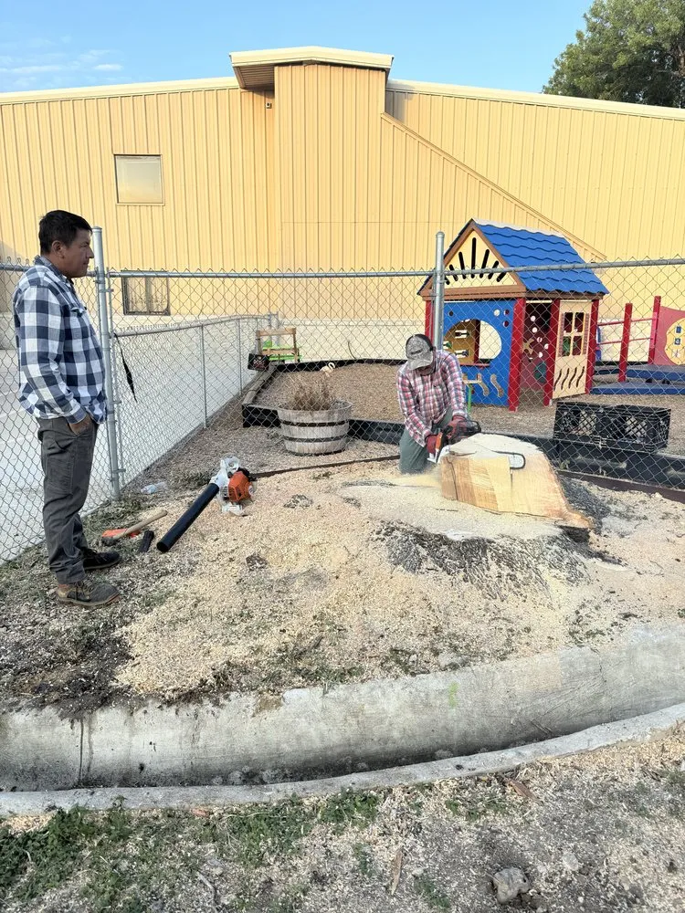 Expert outdoor landscaping for outdoor upgrades in San Antonio, TX by Trinity Landscapes