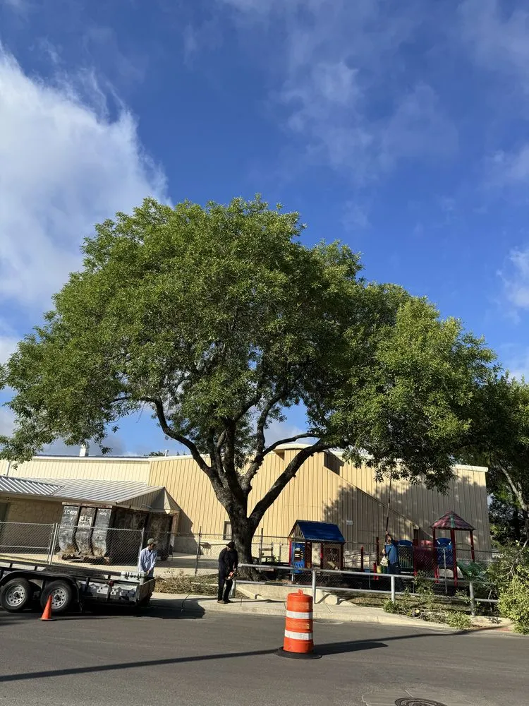 Professional landscape installation in San Antonio, TX - Trinity Landscapes