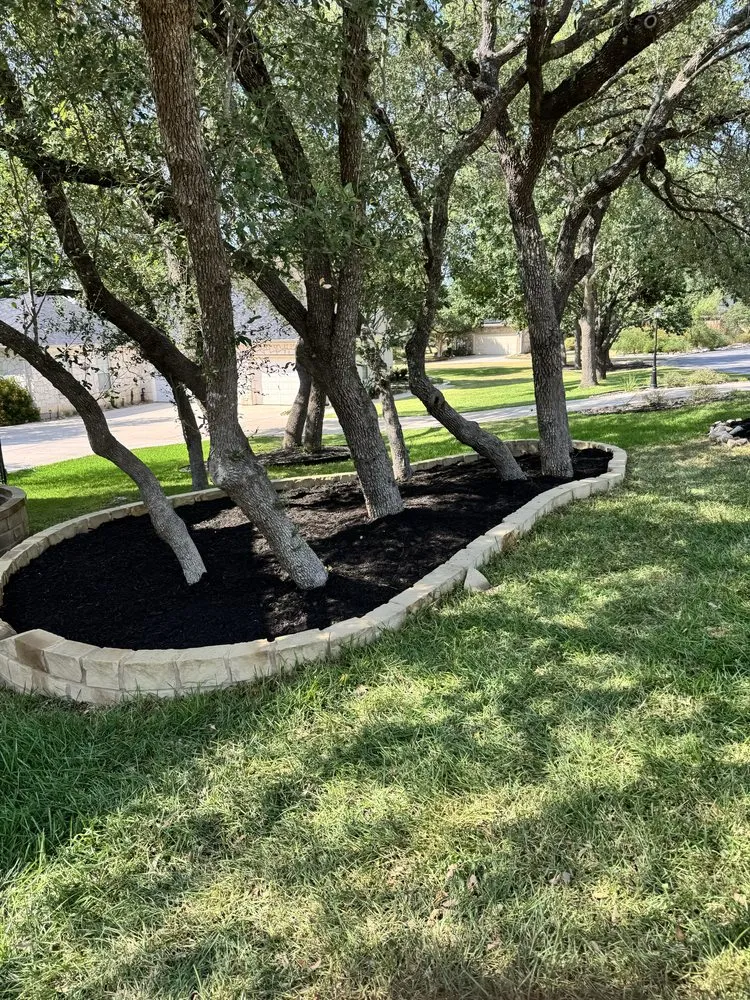 Trusted landscaping services in San Antonio, TX - Trinity Landscapes