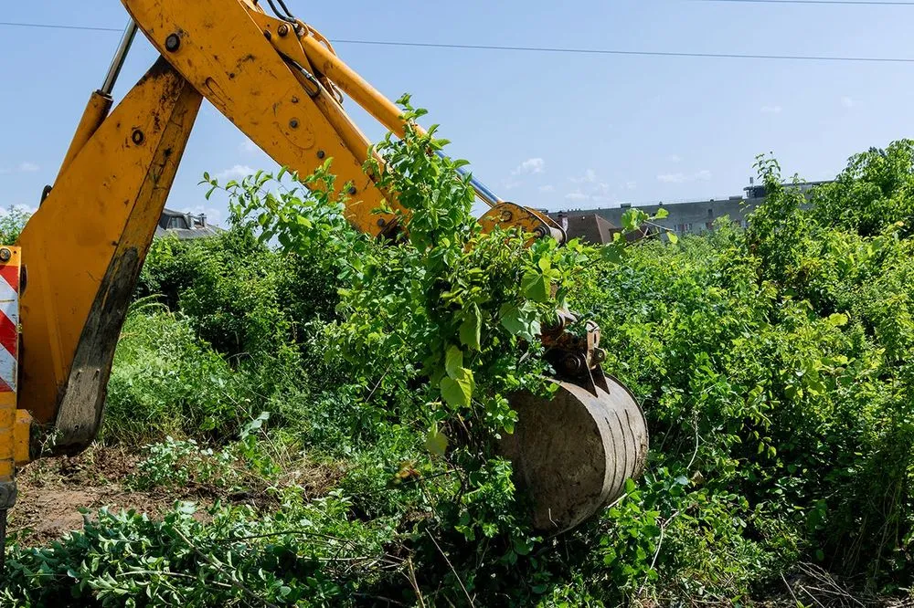 Affordable lawn mowing service experts serving Corcoran, MN - Trinity Landscaping & Excavating