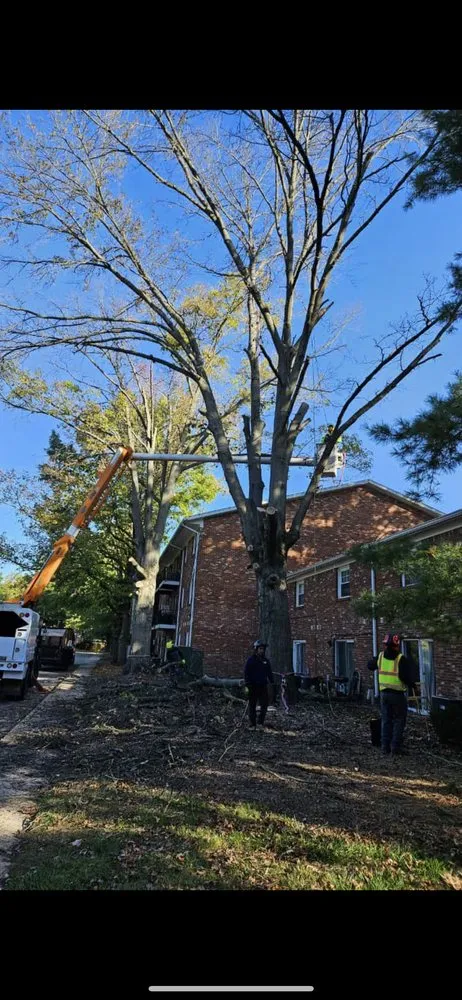 Local landscape installation near you in Indianapolis, IN by Trinity Landscaping