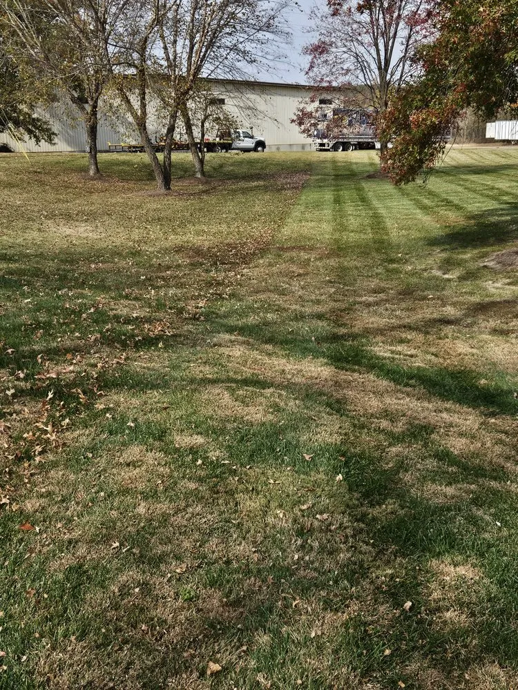 Trusted outdoor landscaping experts serving Marble Hill, MO - Trinity Lawn & Brush Control