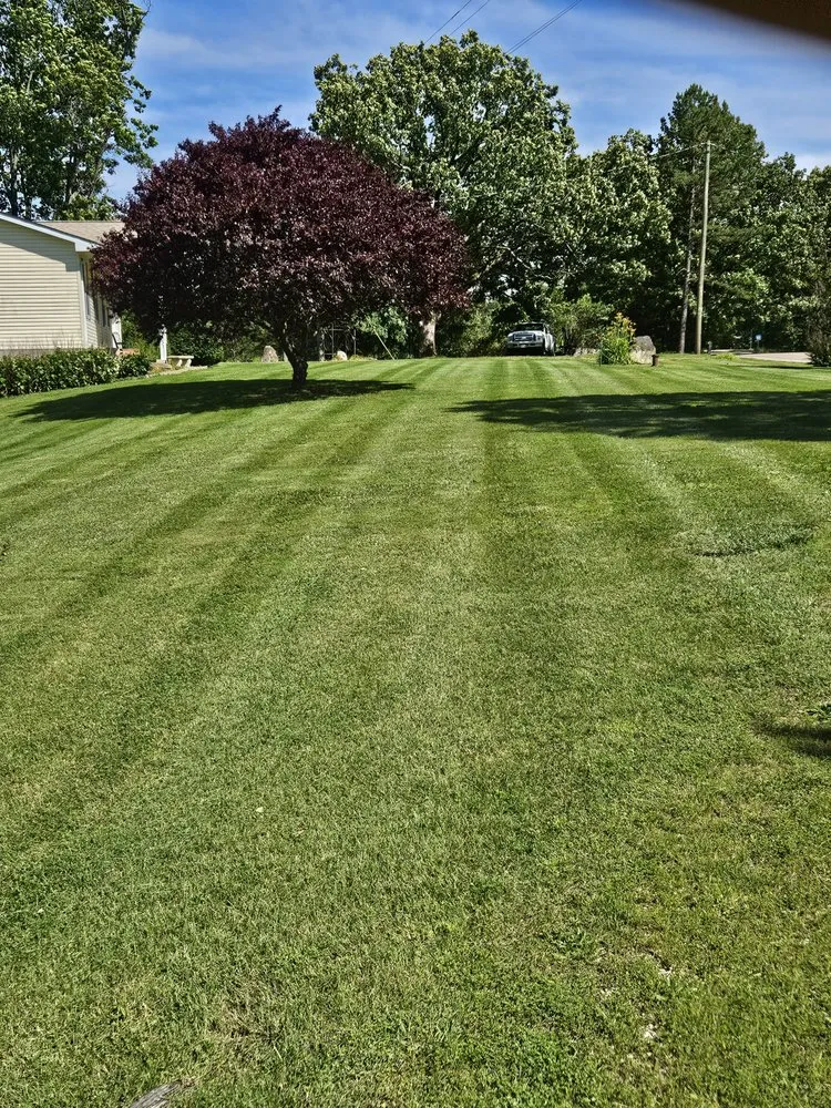 Custom yard cleanup service experts serving Marble Hill, MO - Trinity Lawn & Brush Control