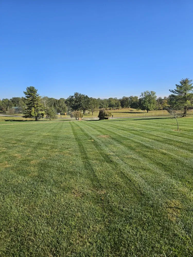 Reliable lawn mowing service experts serving Marble Hill, MO - Trinity Lawn & Brush Control