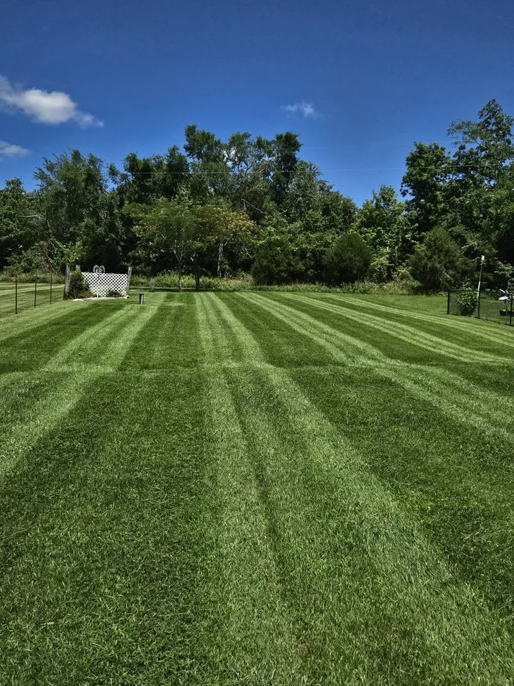 Affordable lawn mowing service in Marble Hill, MO by Trinity Lawn & Brush Control