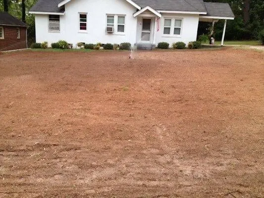 Reliable yard cleanup service in Martinez, GA - Trinity Lawn & Landscape