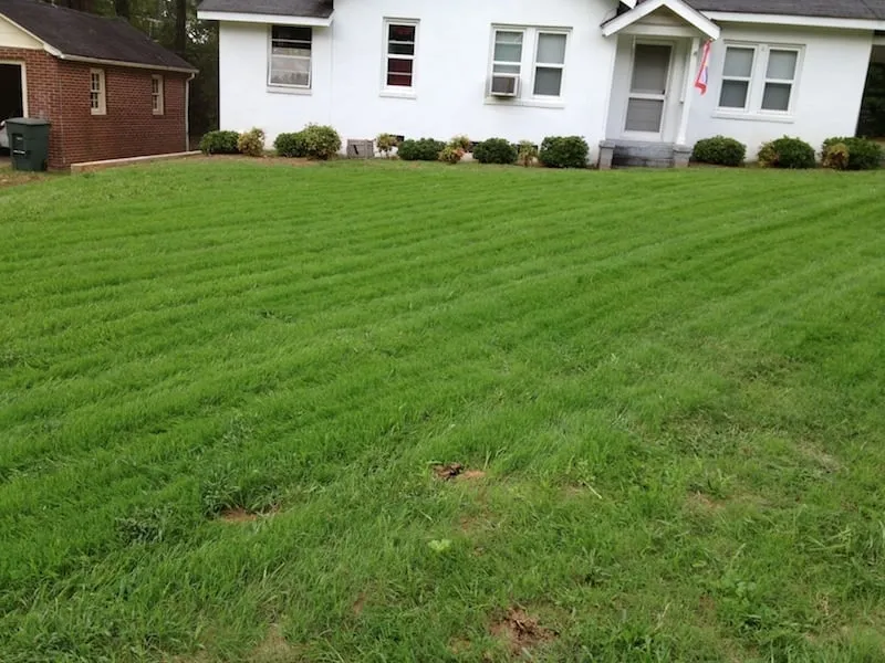 Professional lawn mowing service for outdoor upgrades across Martinez, GA - Trinity Lawn & Landscape