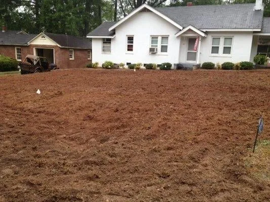 Reliable outdoor landscaping for beautiful yards in Martinez, GA by Trinity Lawn & Landscape