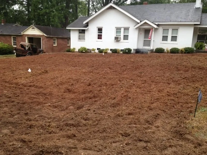 Trusted lawn care service for year-round maintenance across Martinez, GA - Trinity Lawn & Landscape