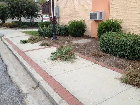 Affordable garden landscaping for year-round maintenance across Martinez, GA - Trinity Lawn & Landscape