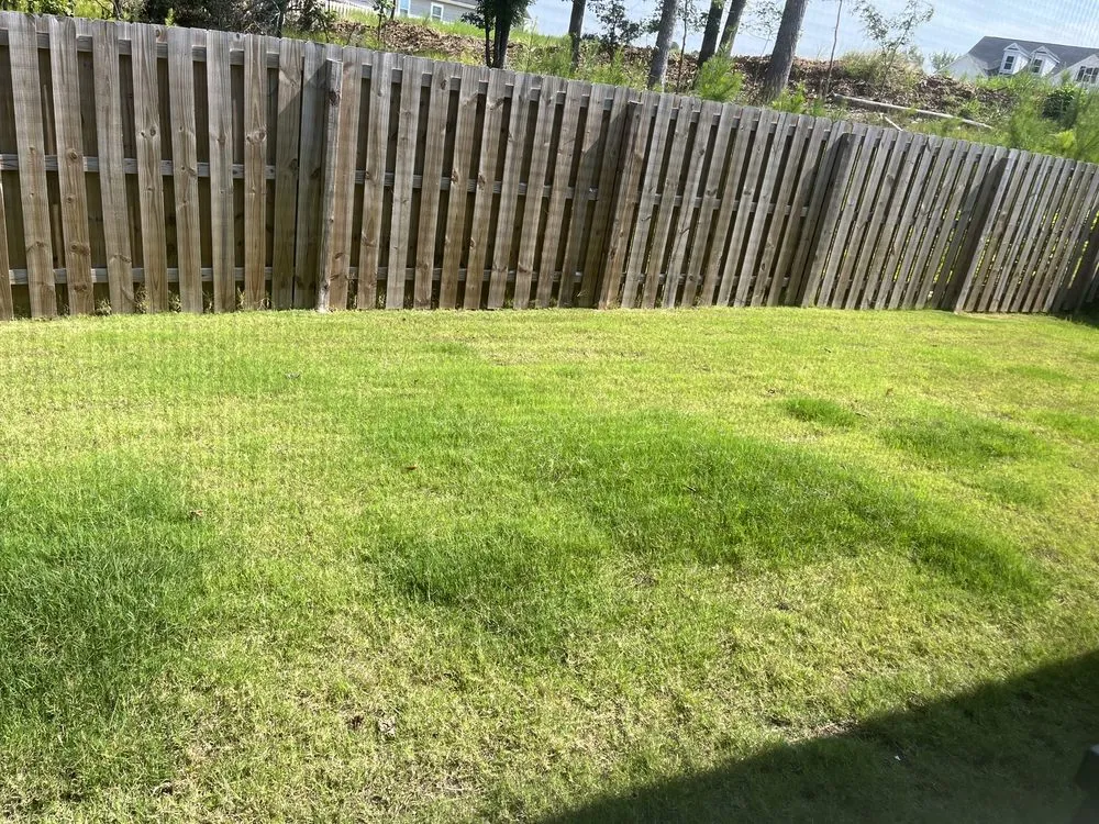 Custom yard maintenance experts serving Martinez, GA - Trinity Lawn & Landscape