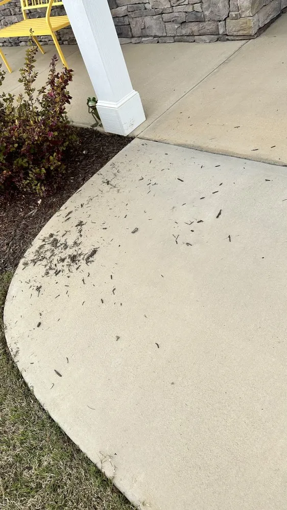 Custom lawn mowing service in Martinez, GA - Trinity Lawn & Landscape