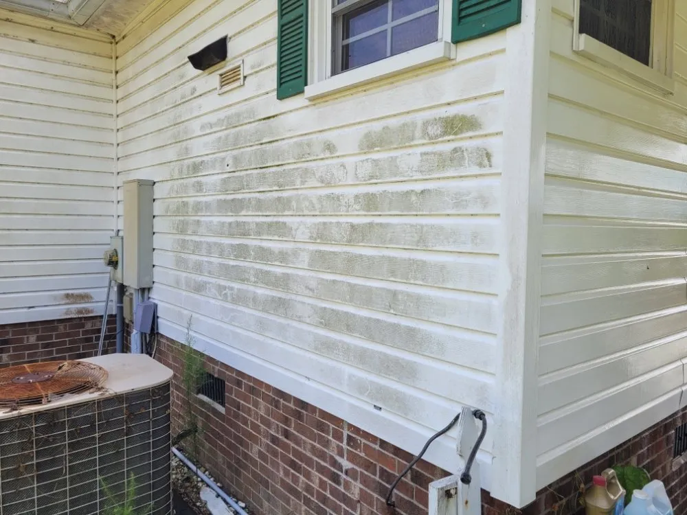 Expert lawn mowing service for outdoor upgrades across Greenville, NC - Trinity Lawn Care