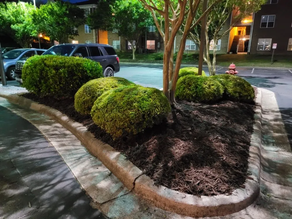 Top-rated landscaping services in Greenville, NC by Trinity Lawn Care