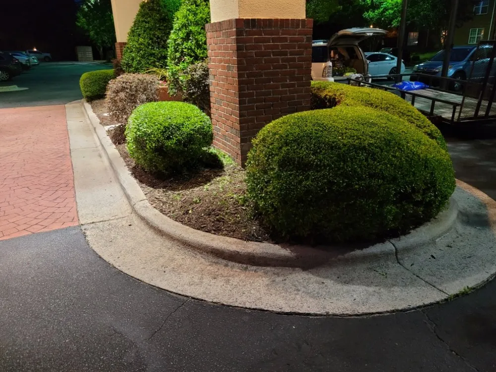 Reliable yard maintenance for outdoor upgrades across Greenville, NC - Trinity Lawn Care