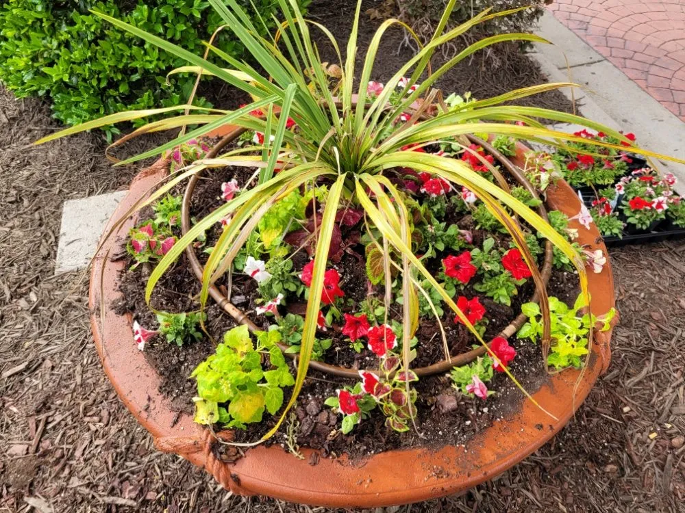 Custom yard maintenance with custom design in Greenville, NC by Trinity Lawn Care