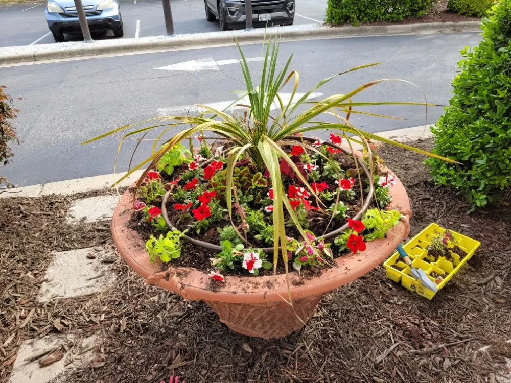 Affordable garden landscaping in Greenville, NC by Trinity Lawn Care