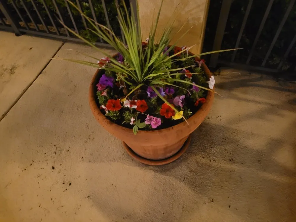 Affordable residential landscaping in Greenville, NC - Trinity Lawn Care