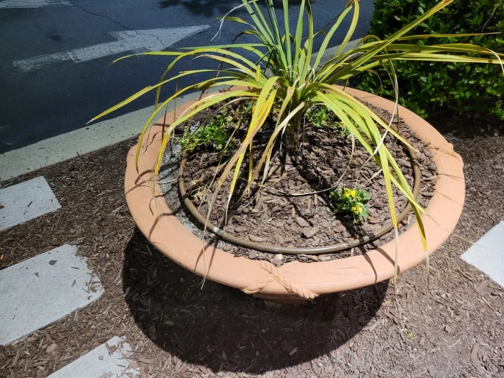 Trusted landscape installation in Greenville, NC - Trinity Lawn Care